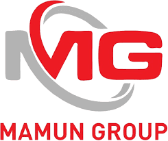 ERP Software Management Executive
