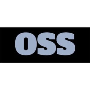 Offshore Staffing Solutions logo