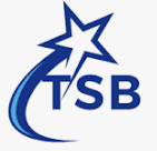 TechSoldier BPO
