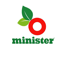 Executive/Senior Executive (Showroom Audit)