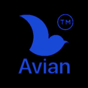 Senior Graphics Motion Designer