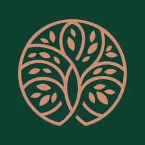 Junior Web Developer
