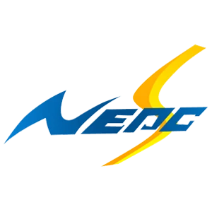 China Northeast Electric Power Engineering & Services Co. Ltd.