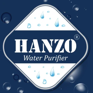 HANZO INTERNATIONAL