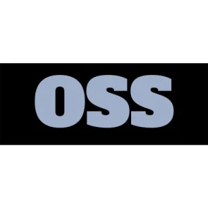 Offshore Staffing Solutions