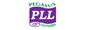 Pegasus Leather Ltd.( Jamuna Group)